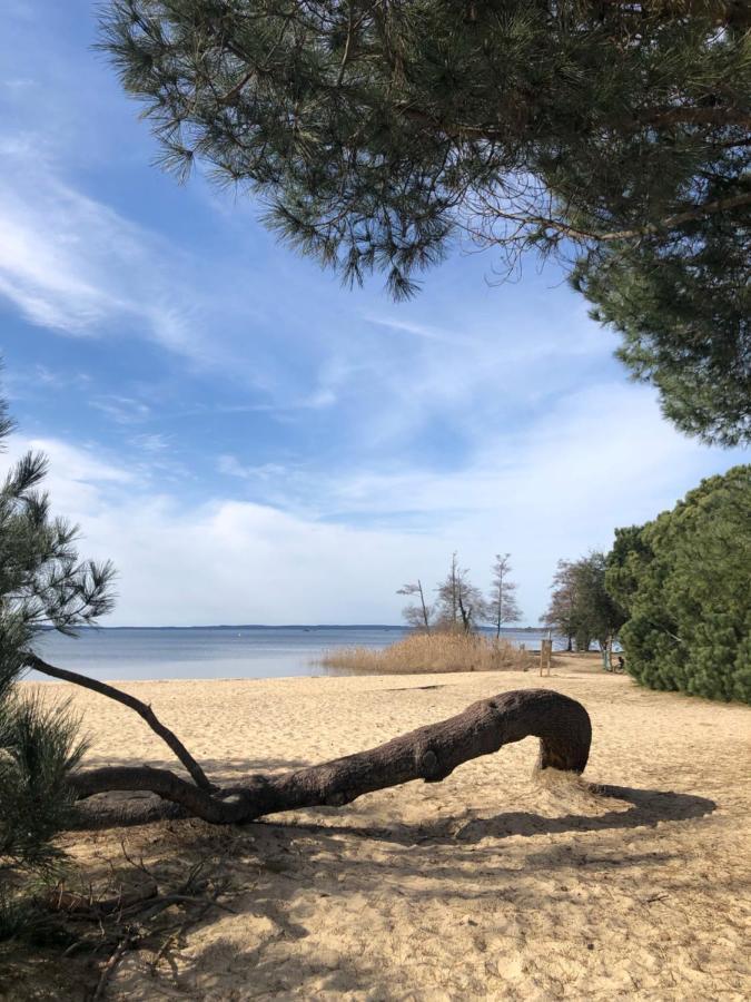 Gite Au Coeur Des Landes Lue Экстерьер фото